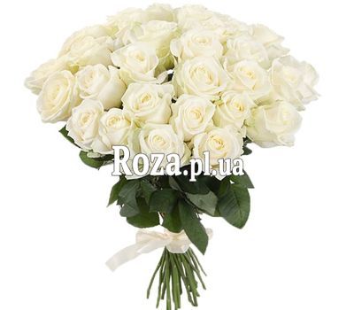 Beautiful white roses Beautiful white roses