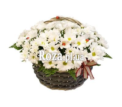 Ромашки в кошику Ромашки в кошику