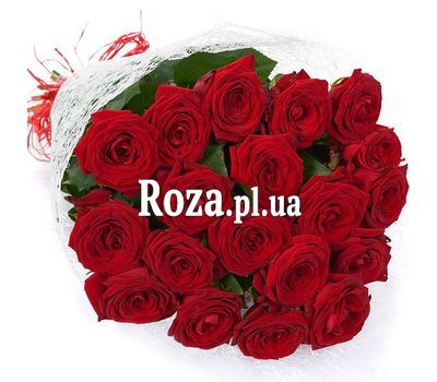 A discreet bouquet of roses A discreet bouquet of roses