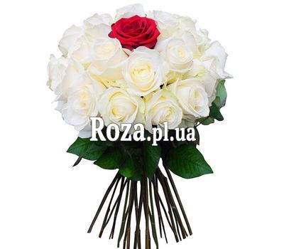 Ти одна така Ти одна така