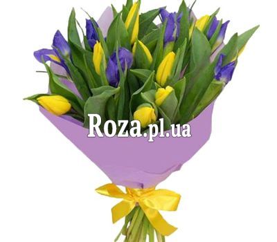 Жовті тюльпани і сині іриси Жовті тюльпани і сині іриси