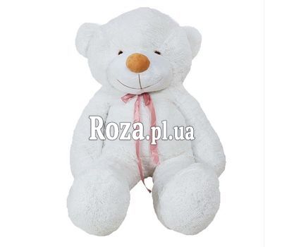 The Teddy Bear The Teddy Bear