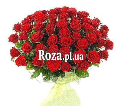 Bouquet of 65 red roses Bouquet of 65 red roses