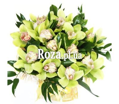Bouquet of 13 orchids Bouquet of 13 orchids