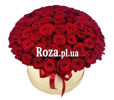101 красная роза в коробке 101 красная роза в коробке
