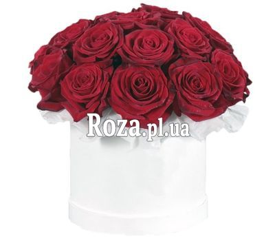 25 red roses in a round box 25 red roses in a round box