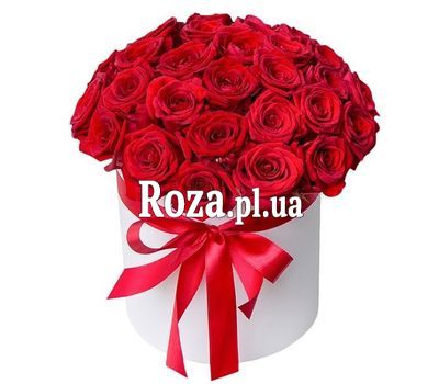 35 red roses in a round box 35 red roses in a round box