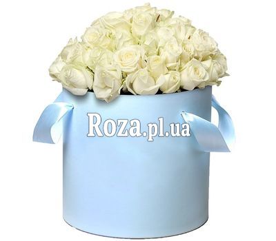 51 white rose in a hat box 51 white rose in a hat box
