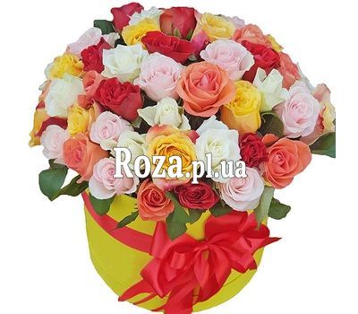 51 multi-colored rose in a box 51 multi-colored rose in a box