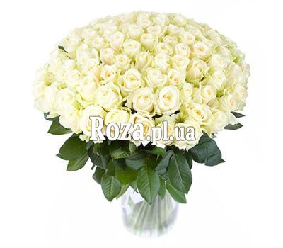 VIP букет із 101 білої троянди VIP букет із 101 білої троянди