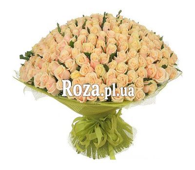VIP bouquet of 201 cream-colored roses VIP bouquet of 201 cream-colored roses