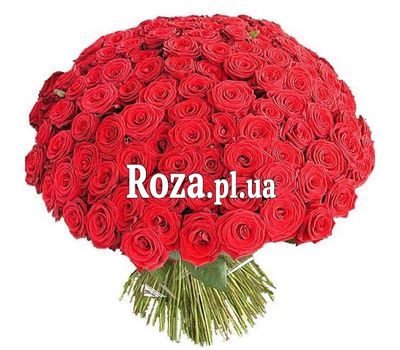 Букет із 251 троянди Букет із 251 троянди