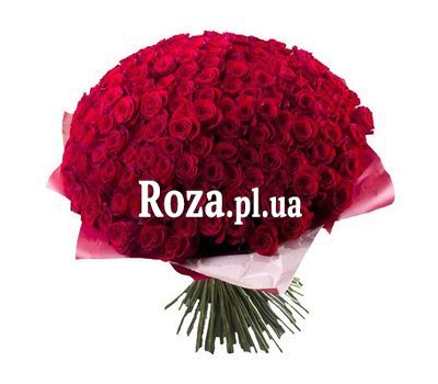 Букет із 501 троянди Букет із 501 троянди