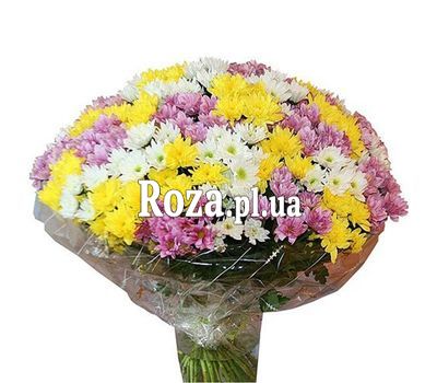 Bouquet of 51 multi-colored chrysanthemums Bouquet of 51 multi-colored chrysanthemums