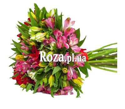 Bouquet of 23 alstromeries Bouquet of 23 alstromeries