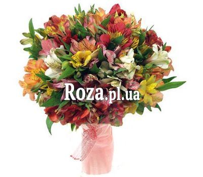 Bouquet of 51 alstroemerias Bouquet of 51 alstroemerias