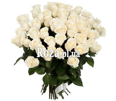 Bouquet of 41 roses Bouquet of 41 roses