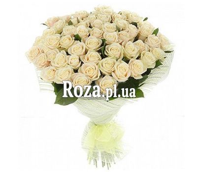 A bouquet of 51 white roses A bouquet of 51 white roses