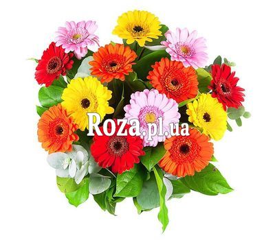 Букет из 15 гербер Букет из 15 гербер