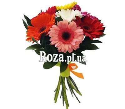 Букет из 7 гербер Букет из 7 гербер