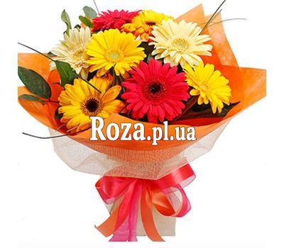 Букет із 9 гербер Букет із 9 гербер