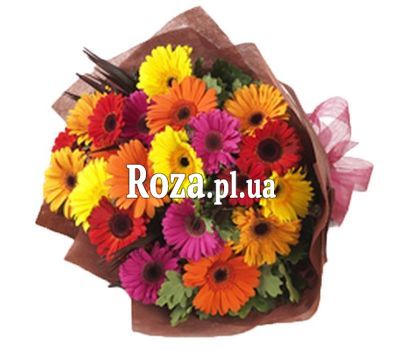 Bouquet of 25 gerberas Bouquet of 25 gerberas
