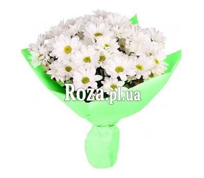 Букет із 7 хризантем Букет із 7 хризантем