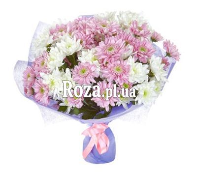 Bouquet of 15 chrysanthemums