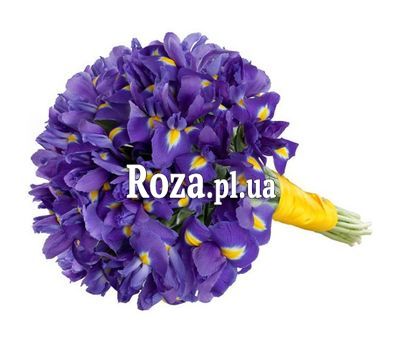 Bouquet of 51 irises Bouquet of 51 irises
