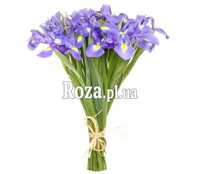 Букет із 25 ірисів Букет із 25 ірисів