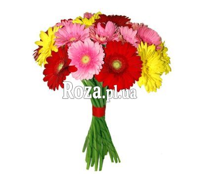 Букет из 17 гербер Букет из 17 гербер