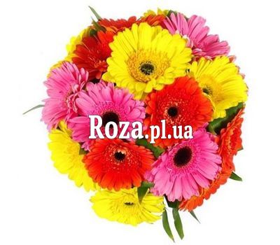 Букет из 19 гербер Букет из 19 гербер