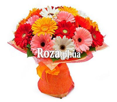 Bouquet of 21 gerberas Bouquet of 21 gerberas