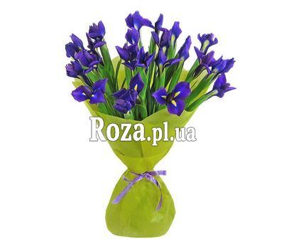 Bouquet of 21 irises Bouquet of 21 irises