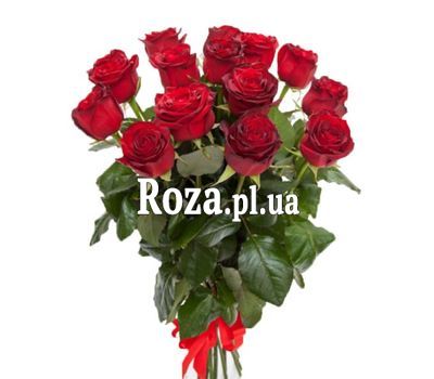 Bouquet of 15 red roses Bouquet of 15 red roses