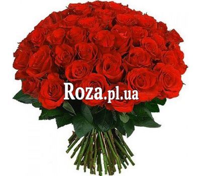 Bouquet of 55 red roses Bouquet of 55 red roses