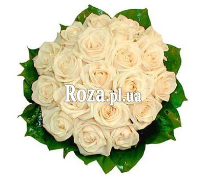 Bouquet of 19 Cream Roses