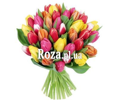 Букет із 41 тюльпана Букет із 41 тюльпана