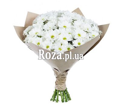 Букет із 15 ромашок Букет із 15 ромашок