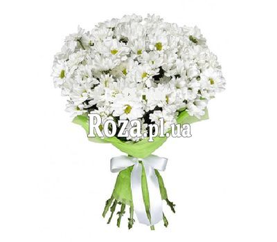 Букет із 11 ромашок Букет із 11 ромашок