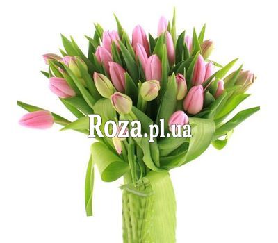 Bouquet of 35 Tulips Bouquet of 35 Tulips