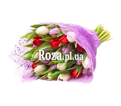 Bouquet of 25 Tulips Bouquet of 25 Tulips