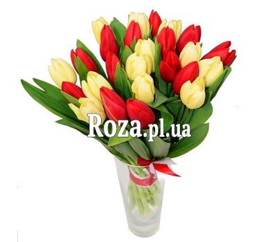 Bouquet of 23 Tulips Bouquet of 23 Tulips