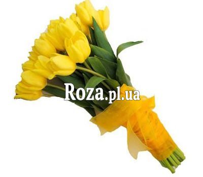 Bouquet of 27 Tulips Bouquet of 27 Tulips