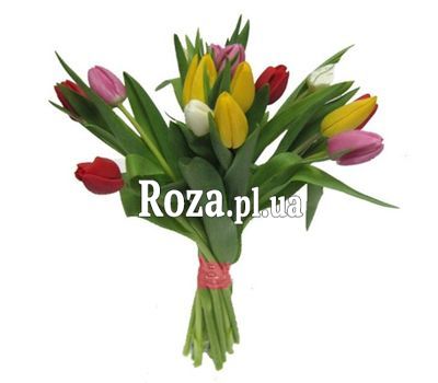 Bouquet of 17 Tulips Bouquet of 17 Tulips