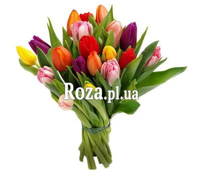 Bouquet of 19 Tulips Bouquet of 19 Tulips