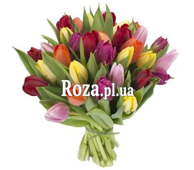 Bouquet of 29 Tulips Bouquet of 29 Tulips