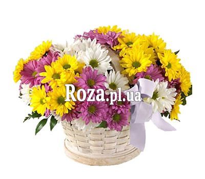 Корзинка 11 хризантем Корзинка 11 хризантем