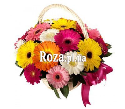 Кошик з 25 гербер Кошик з 25 гербер