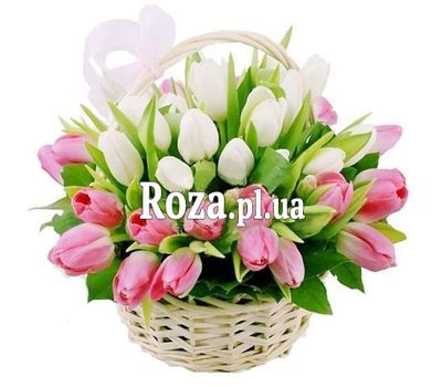 Корзина 39 белых и розовых тюльпанов Корзина 39 белых и розовых тюльпанов